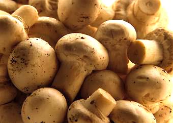 mushrooms