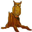 owl