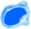 swimming fish